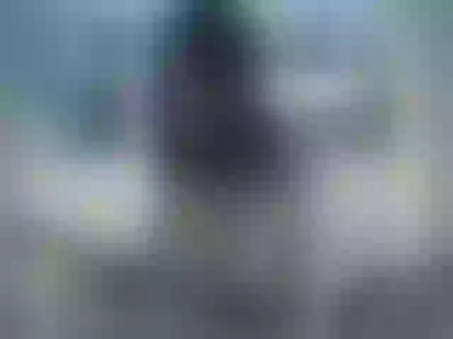 Live sex webcam photo for SUSYBALE #255946988