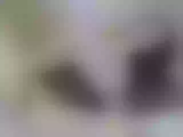 Live sex webcam photo for Girl-Pleasure #247228399