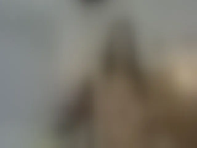 Live sex webcam photo for Mssburbuja #261864426