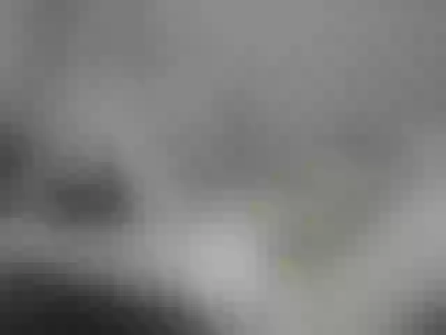 Live sex webcam photo for Alexbibi #261957528