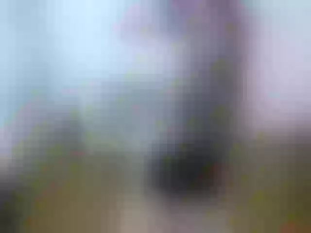 Live sex webcam photo for Alice_4_U #254485148