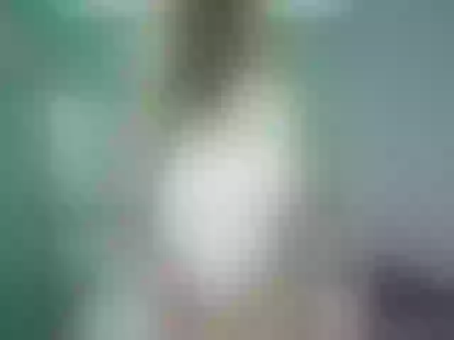 Live sex webcam photo for Kinkykiitty #264135627