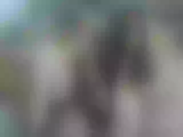 Live sex webcam photo for LanaTy #257822149
