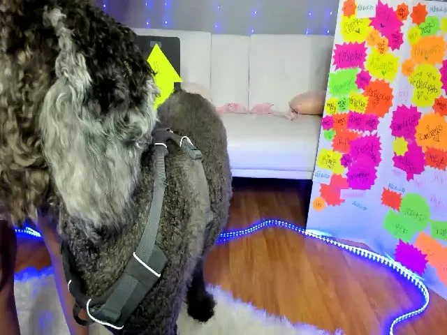 Live sex webcam photo for Sofiryanxoxo #256617608