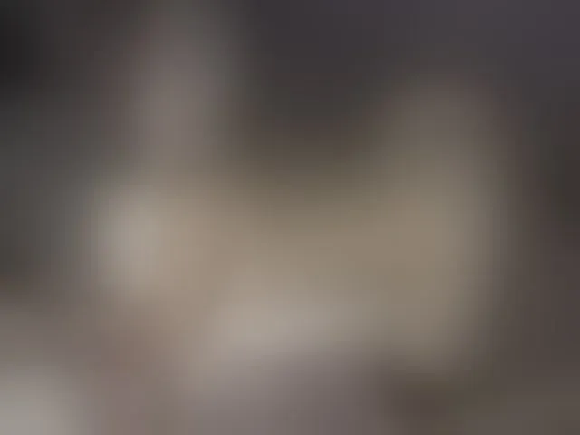 Live sex webcam photo for Xtina_ #261625519