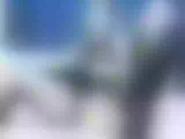 Live sex webcam photo for Ellaquality #258076657