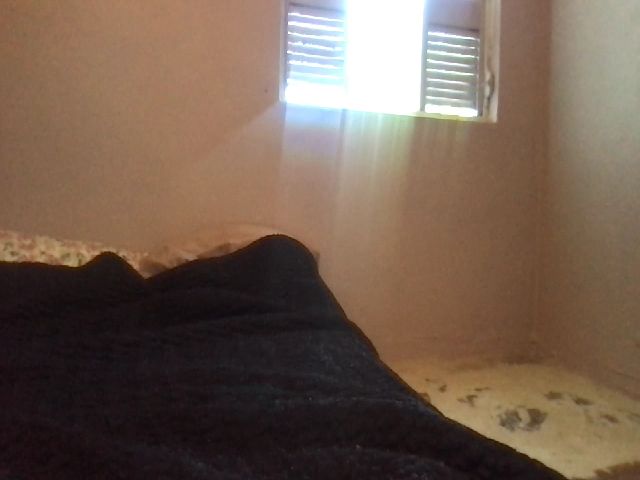 Live sex webcam photo for GaiaWindFire #256258065