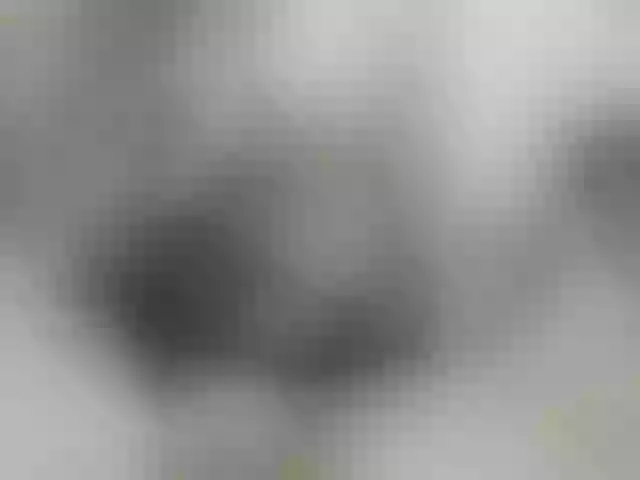 Live sex webcam photo for ego777me #287981567