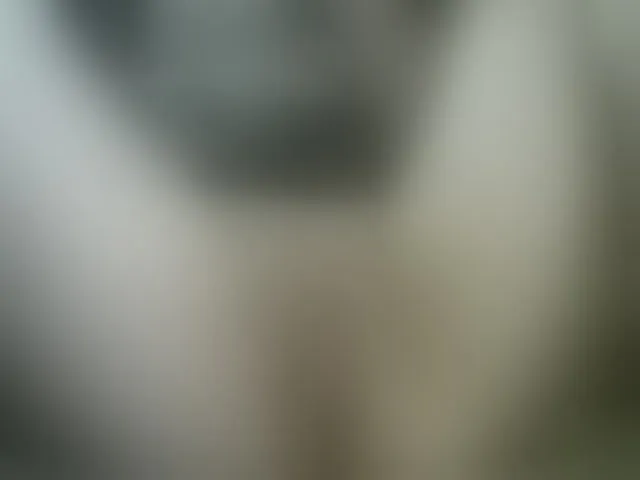 Live sex webcam photo for REPTILIAY #243688415