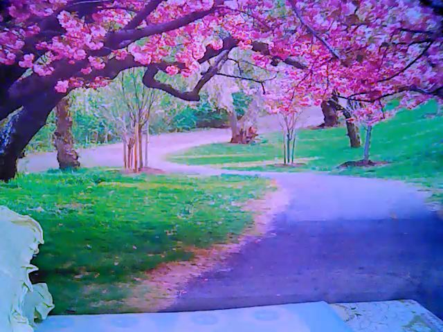 Live sex webcam photo for Roxyfoxy69 #263831132