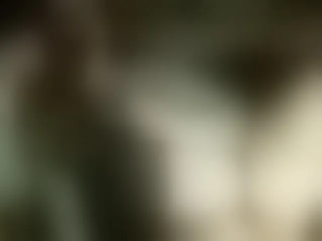Live sex webcam photo for Lara551 #241046444