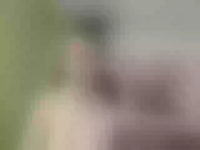 Live sex webcam photo for Evelynevi #253312328