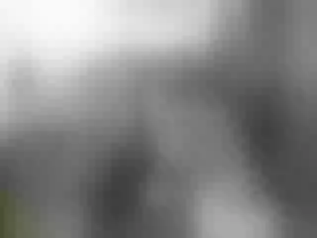 Live sex webcam photo for Oldslyfoxi #252726038