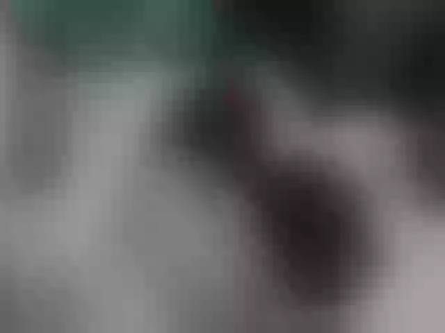 Live sex webcam photo for Mokkoann #257119438