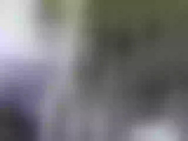 Live sex webcam photo for cozychristine #253783013