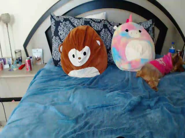 Live sex webcam photo for lyllla #262437108