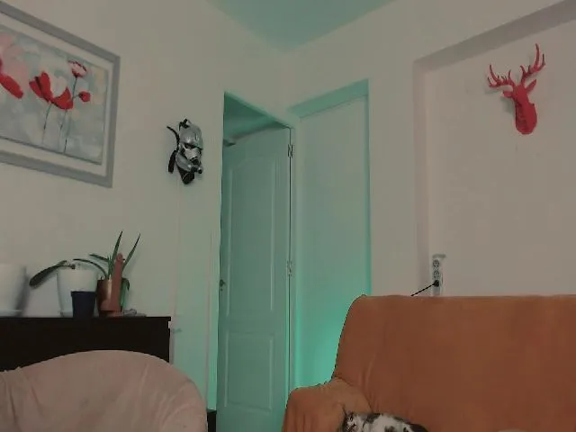 Live sex webcam photo for He11oa1ice #254910964