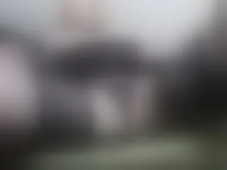 Live sex webcam photo for z1na #240686723