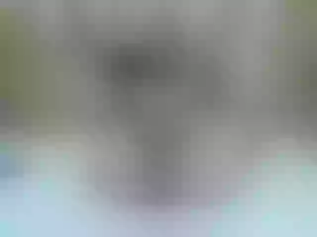 Live sex webcam photo for Mssburbuja #254426749