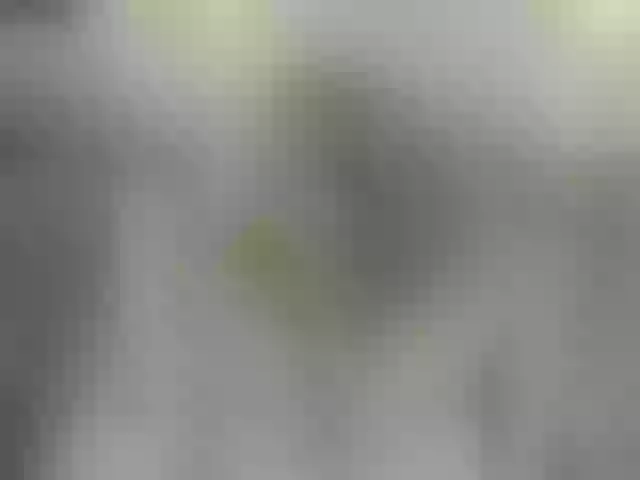 Live sex webcam photo for Msstrixxie #265531699