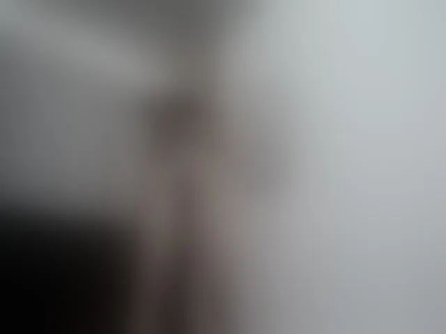 Live sex webcam photo for Girasolwalton #254848381