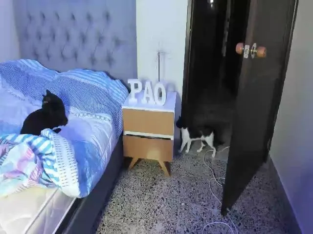 Live sex webcam photo for thays_mawakye #260957585