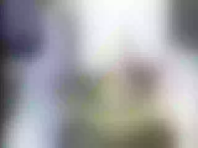 Live sex webcam photo for Ellaquality #253742494