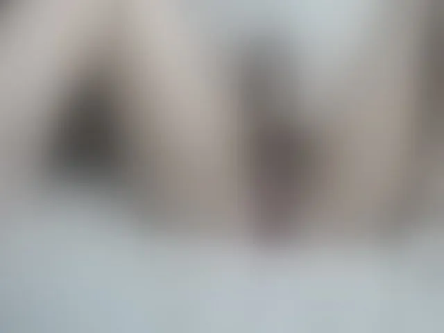 Live sex webcam photo for Girasolwalton #257187334