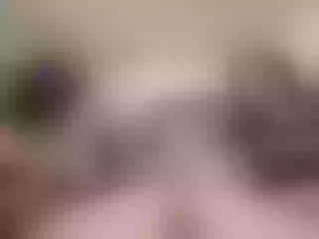 Live sex webcam photo for sex-partys #252416950