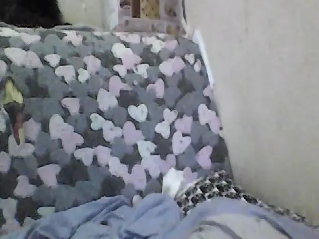 Live sex webcam photo for GuiltyKitty #265431681