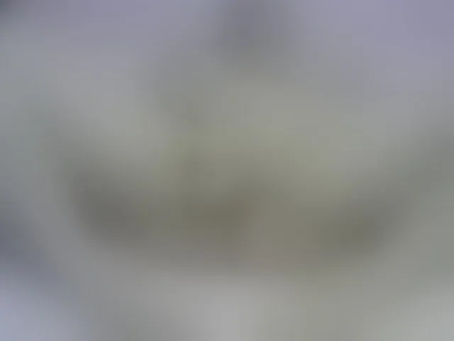 Live sex webcam photo for stressygirl #248792902