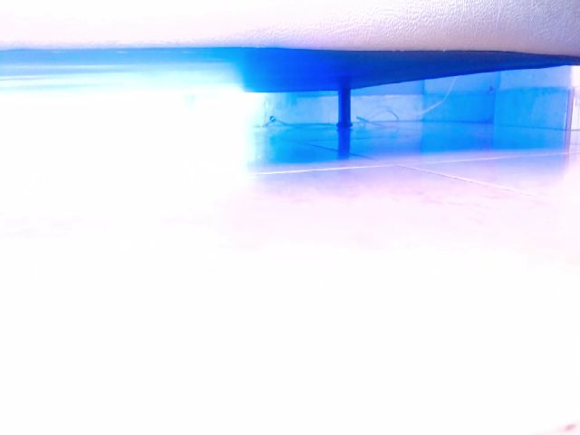 Live sex webcam photo for Sofia_ebony #264595116