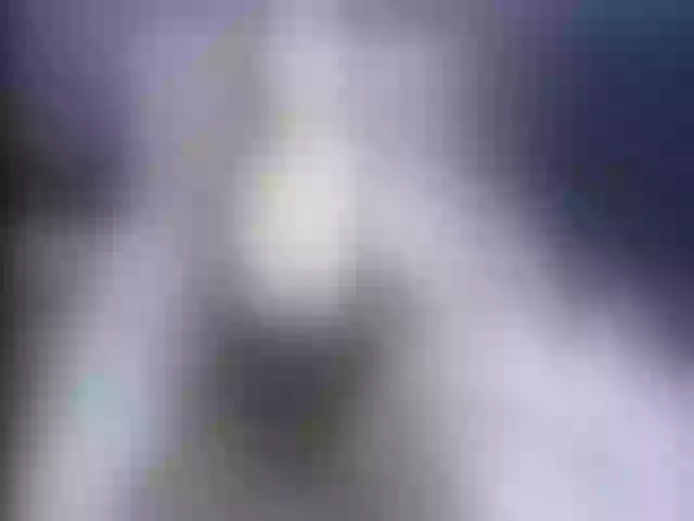 Live sex webcam photo for Ellaquality #253312144