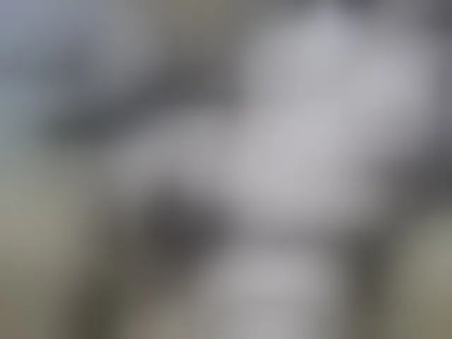 Live sex webcam photo for reis245 #242278881