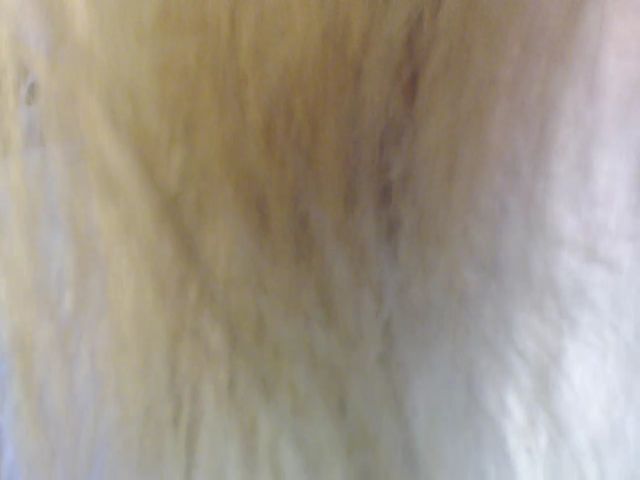 Live sex webcam photo for Chloex_Xx #263835973