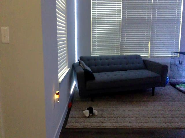 Live sex webcam photo for Sammy_gray #255802210