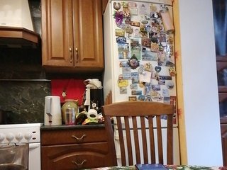 Live sex webcam photo for Saharok-20 #240560253