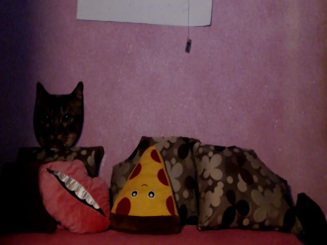 Live sex webcam photo for IamMiky #254923855