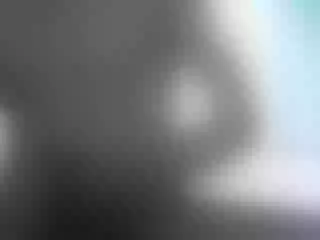 Live sex webcam photo for fox-seks #241378268