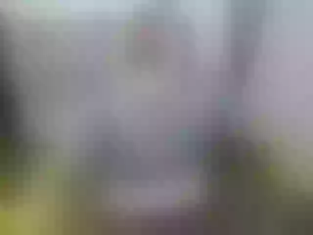 Live sex webcam photo for FireFlower_ #256091731