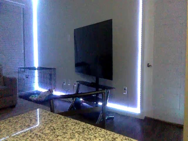 Live sex webcam photo for Sammy_gray #258054200