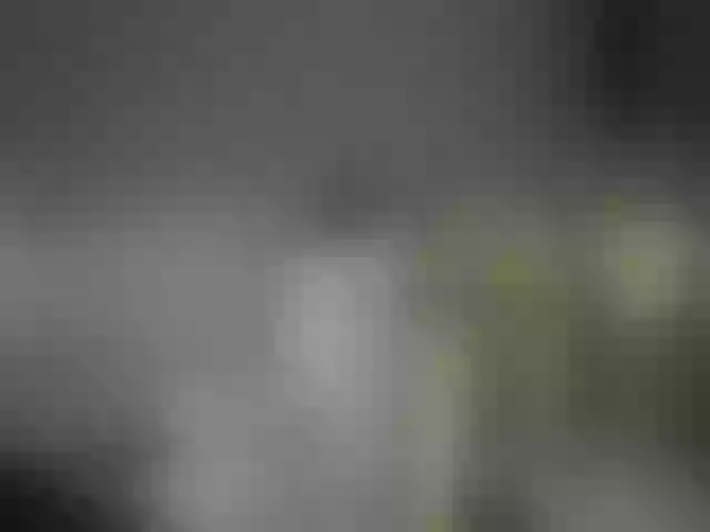 Live sex webcam photo for MyyDream #252630182