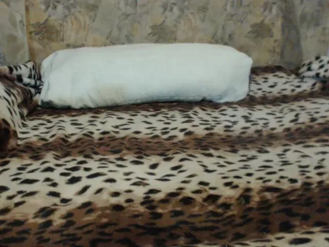 Live sex webcam photo for Ellita #253147310