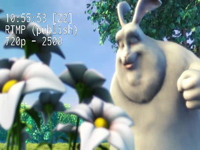 Live sex webcam photo for TestCam33 #257032704