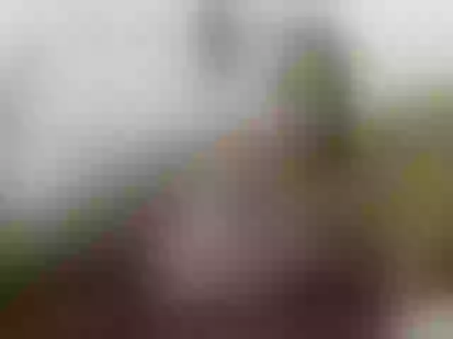 Live sex webcam photo for EleianaRose #257870221