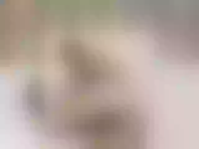 Live sex webcam photo for Channel21 #247633038