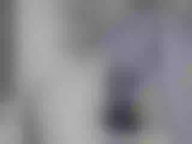 Live sex webcam photo for Jelonni #249844264