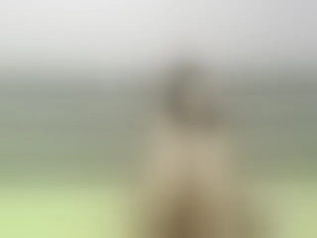 Live sex webcam photo for AnyGreen #241073994