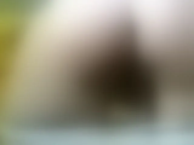 Live sex webcam photo for SofiAmeli #255089981