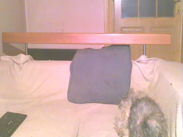 Live sex webcam photo for Lili_Mari69 #252797984